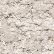 Anthology Beige