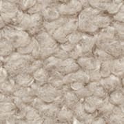 Himalaya Beige