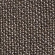 Planet Enzimi Taupe