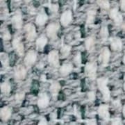 Salina Green
