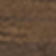 							Manufactured walnut wood
							