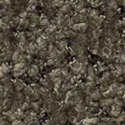 Anthology Donkergroen