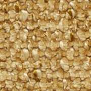 Elonia Senape (Saima)