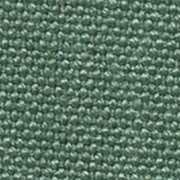 Planet Enzimi Vert Clair