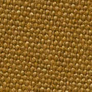 Planet Enzimi Senape