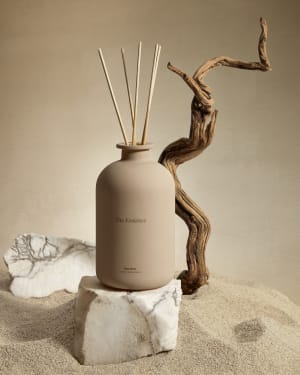Αρωματικά sticks The Essence 480 ml