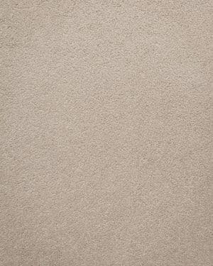 Himalaya Beige Fabric Swatch 10 x 15 cm