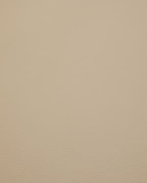 Leather sample Verso beige VO12 10 x 15 cm