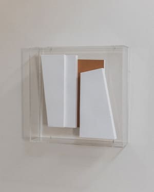 Tectonía Diatréfica Trapecio