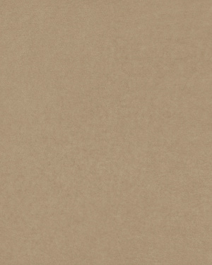 Campione di tessuto Zafor grigio perla ZF38 10 x 15 cm