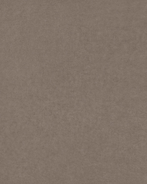 Campione di tessuto Zafor pietra ZF36 10 x 15 cm