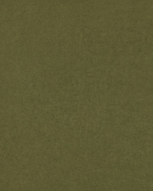 Campione di tessuto Zafor kaki ZF22 10 x 15 cm