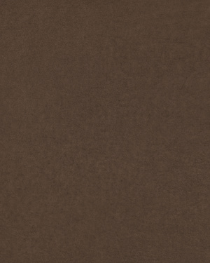 Campione di tessuto Zafor marrone ZF08 10 x 15 cm