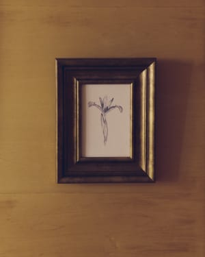 Yalira picture with botanical illustration 32.8 x 70cm
