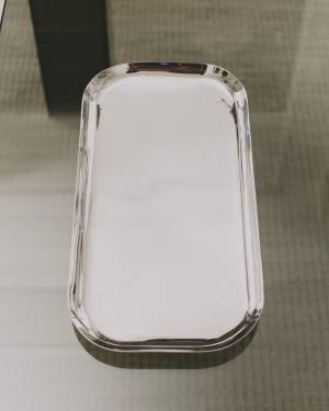 Nirela set of 2 stainless steel trays