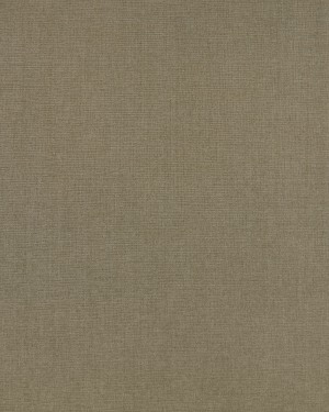 Stofstaal Anima lichtgroen AN20 10 x 15 cm