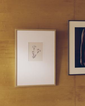 Lirena picture with botanical illustration 50 x 70cm