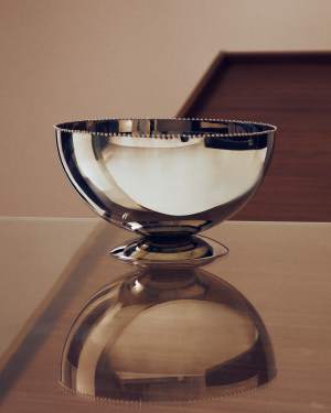 Nirela stainless steel bowl