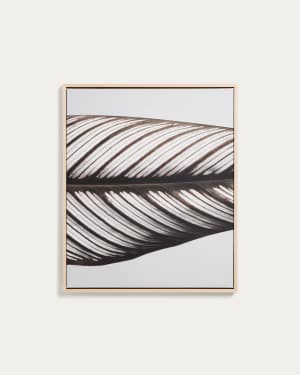 Foliae lijst met foto met bladmotief 52,5 x 62,5 cm