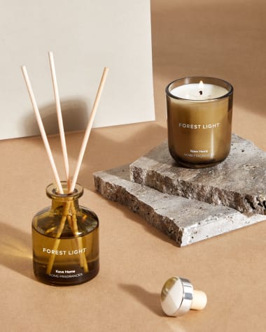 Forest Light fragrance diffuser with sticks, 50 ml