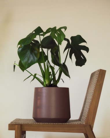 Fioriera Calun in cemento bordeaux Ø 32 cm