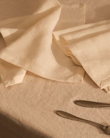 Pals de 2 serviettes, 100% white linen