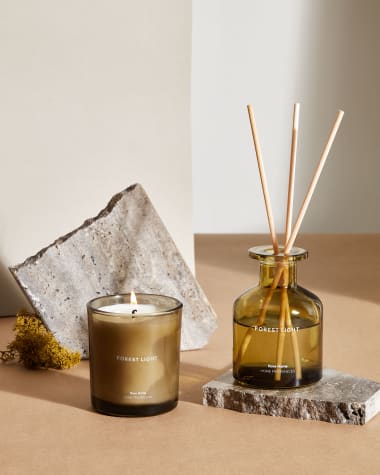 Forest Light fragrance diffuser with sticks, 100 ml