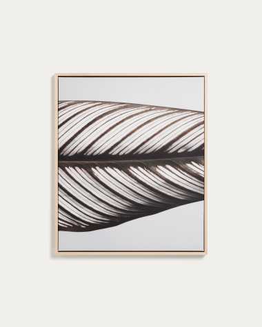 Foliae leaf photograph picture 52.5 x 62.5cm