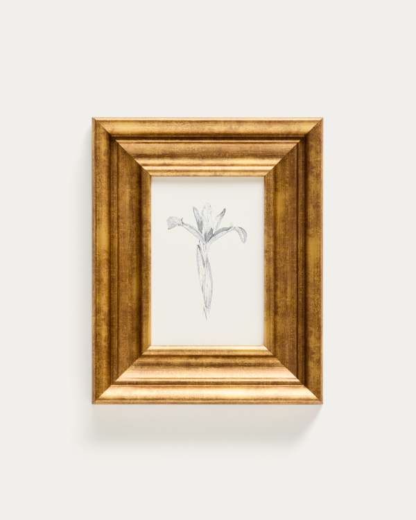 Quadro Yalira illustrazione botanica 32,8 x 70 cm