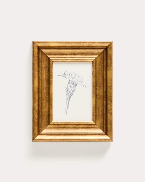 Quadro Yalira illustrazione botanica 32,8 x 70 cm