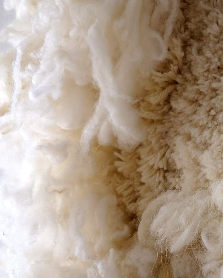 Oro Blanco IV