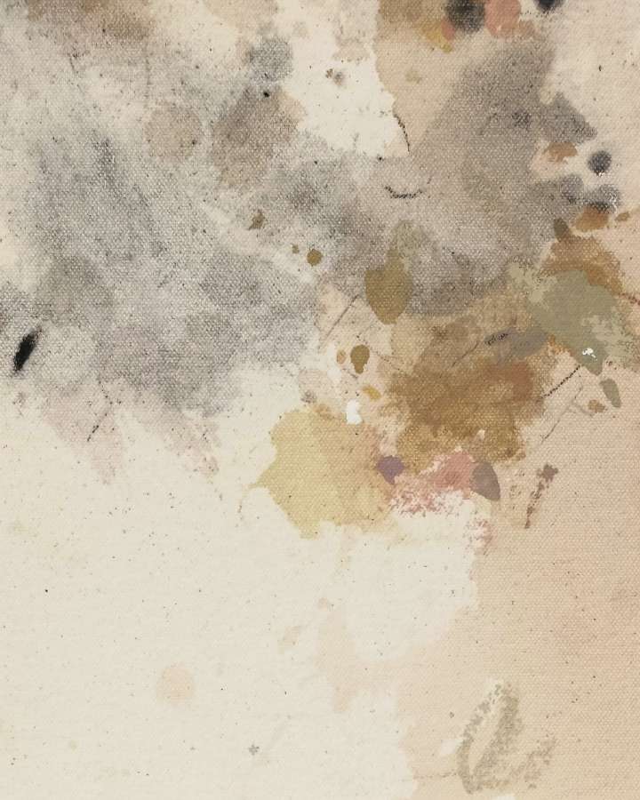 Old summers carried within