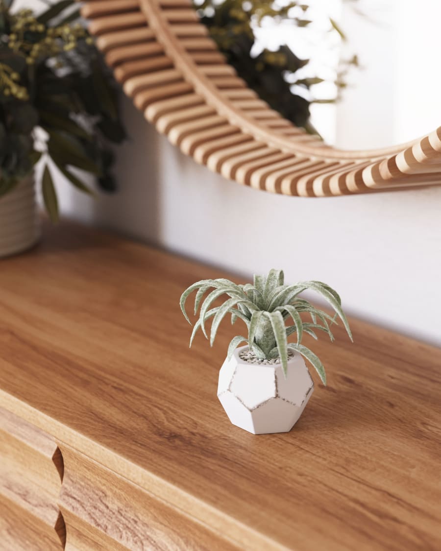 Tillandsia artificial plant
