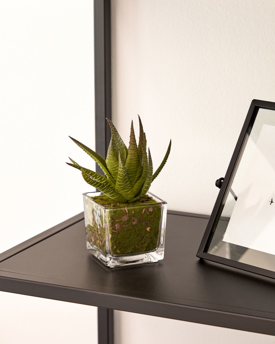 Hawortia artificial plant