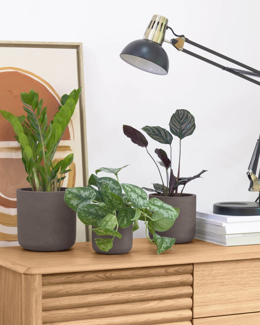 Σετ 3 γλάστρες, καφέ Ø 18 cm / Ø 15 cm / Ø 12 cm