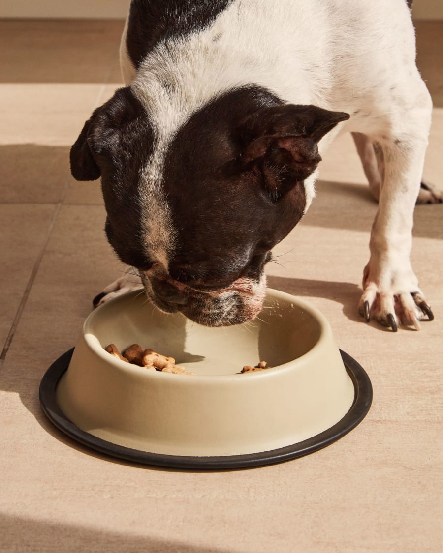 Dalitso set of 2 small food and water bowls for pets, in beige anti-rust steel, Ø 21 cm