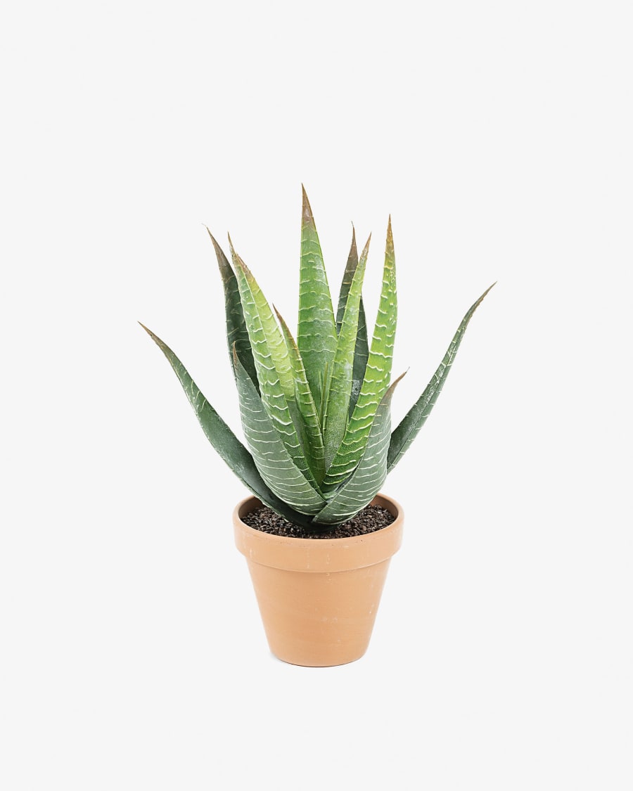 Pianta aloe vera artificiale Zelena