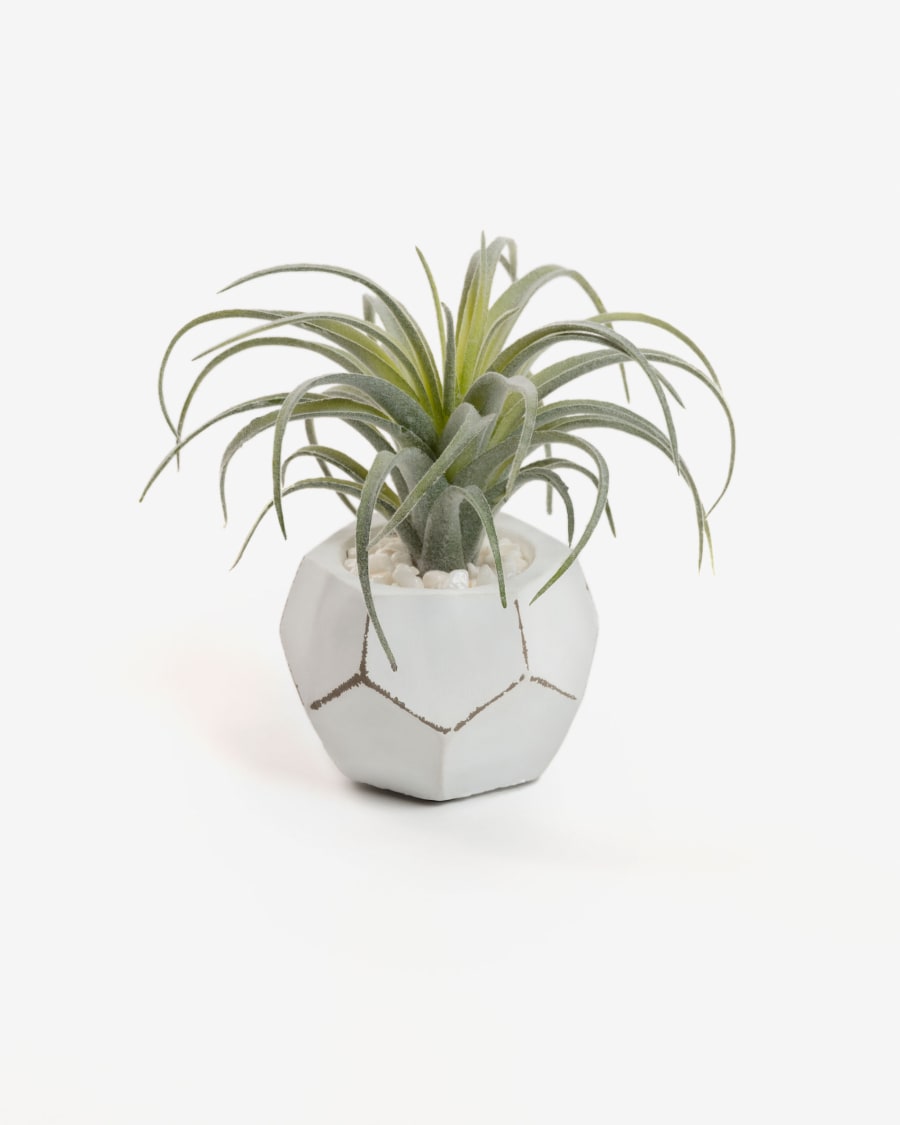 Tillandsia artificial plant