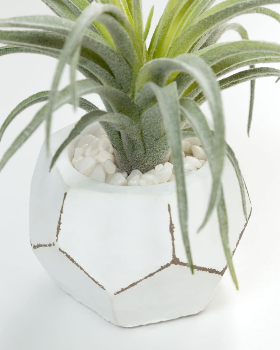 Tillandsia artificial plant