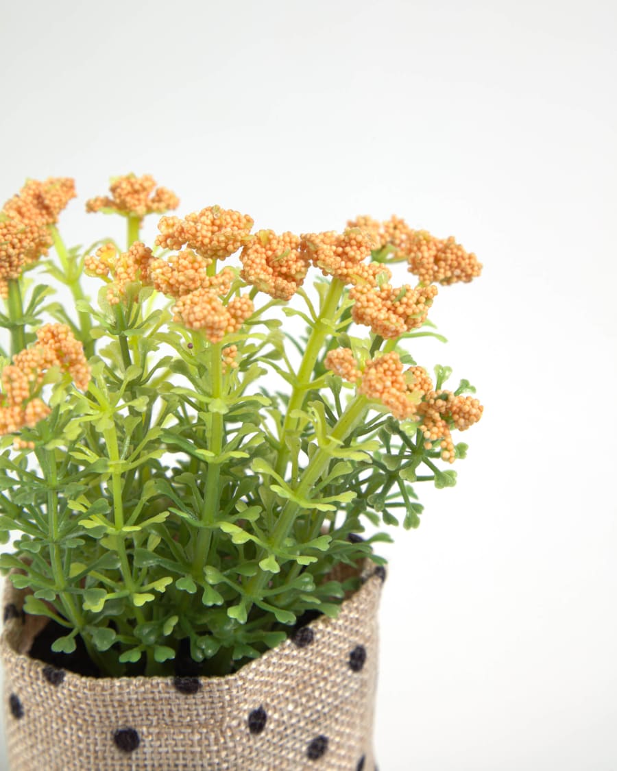 Artificial Leonitis leonurus plant in raffia pot