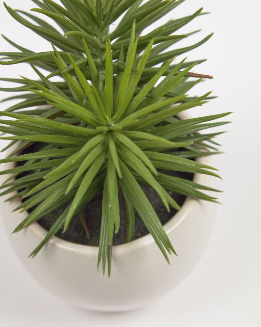 Pino artificial plant with white ceramic planter 16 cm