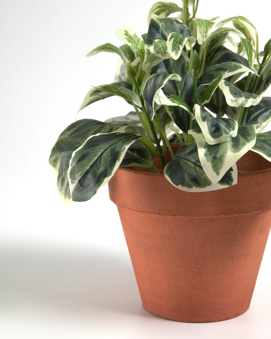 Aucuba artificial plant