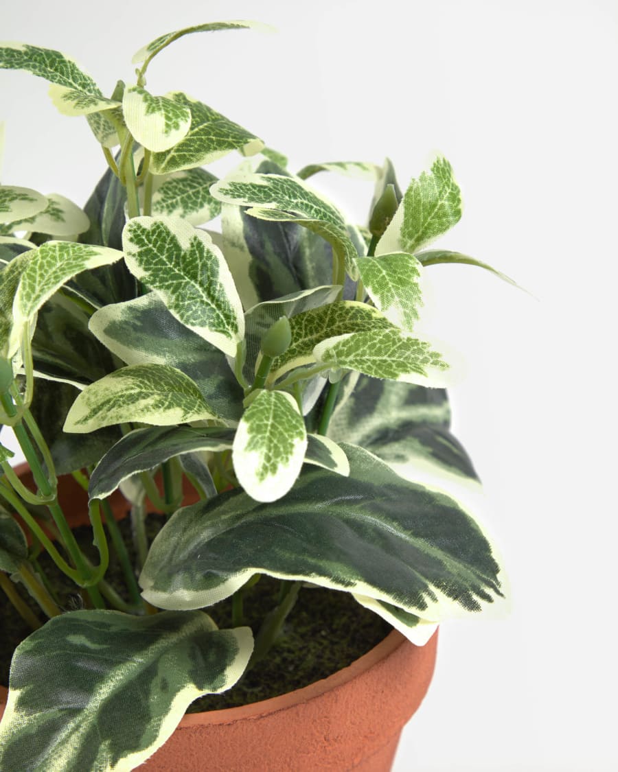 Aucuba artificial plant