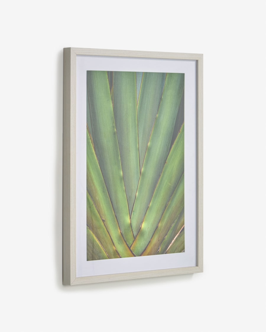 Lyn green aloe vera picture white wood frame 50 x 70 cm