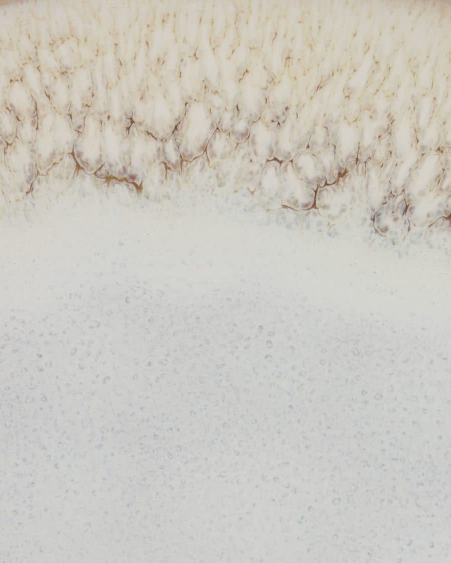 Plato plano Sheilyn beige flat plate