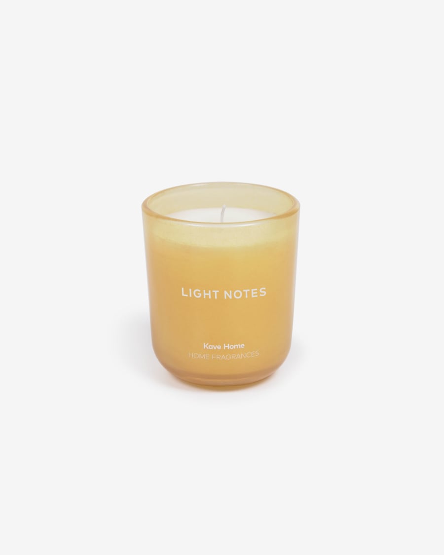 Scented candle Light Notes 65 gr