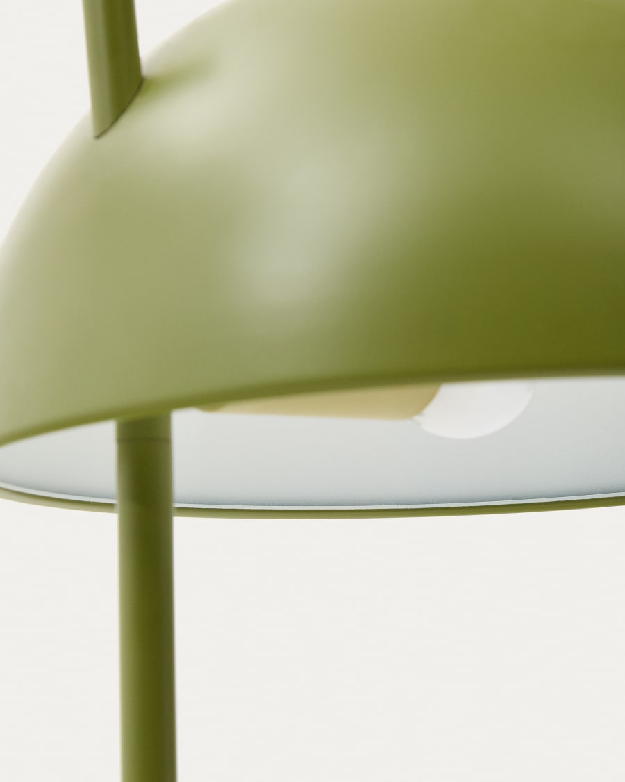 Catlar ash wood and metal table lamp in a green painted finish Australia adaptor