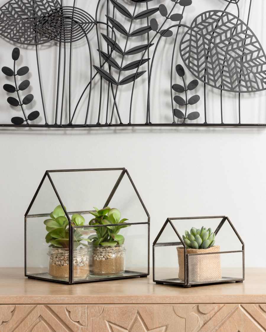 Pachyphytum artificial plant