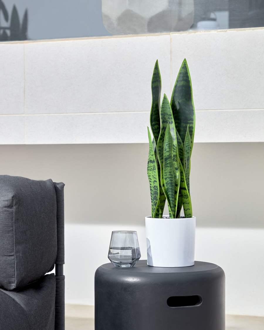 Lukina dark grey glass