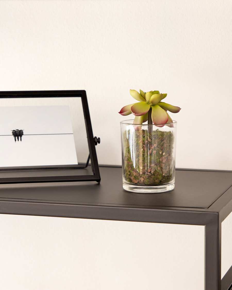 Aeonium artificial plant